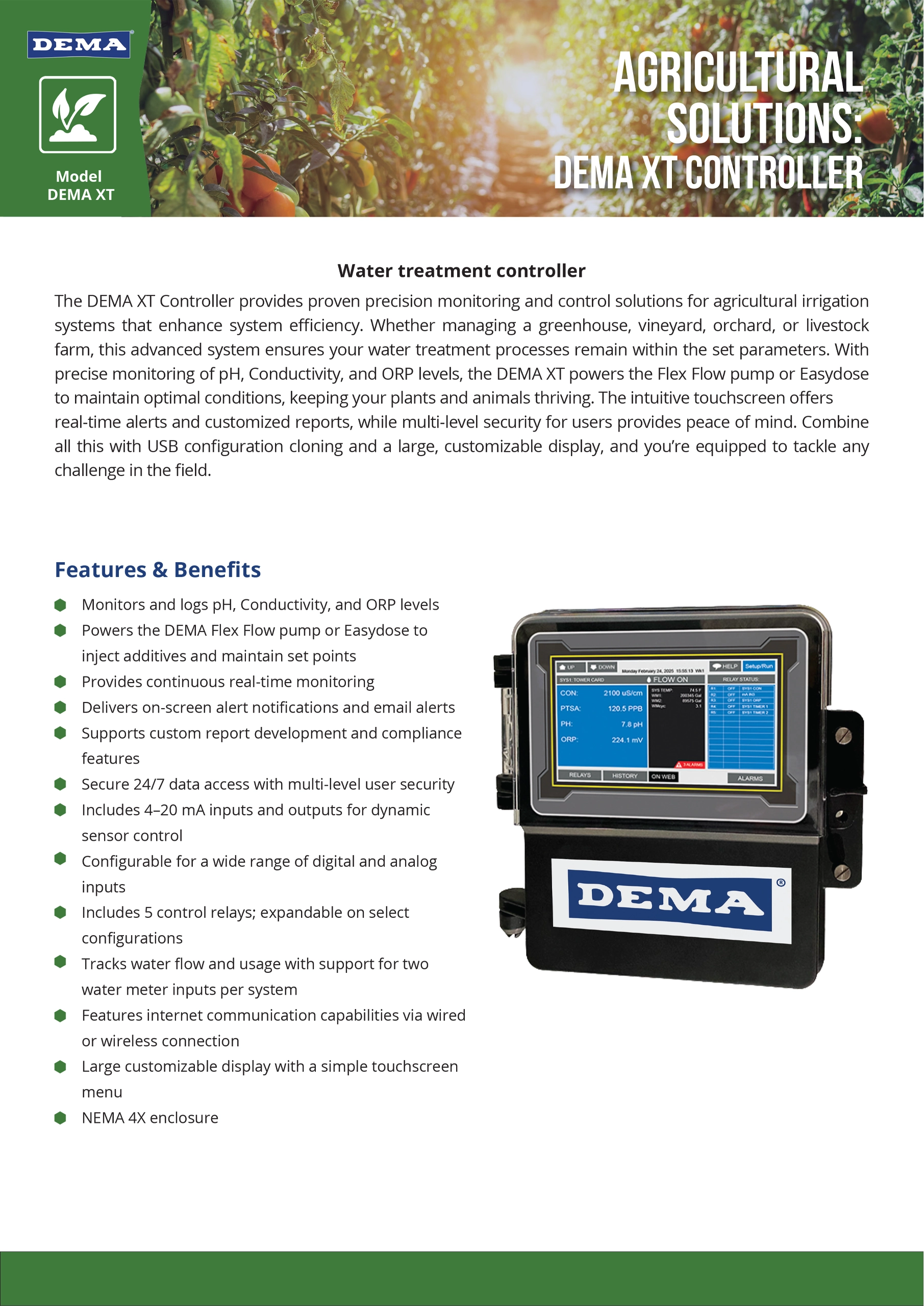 DEMA XT